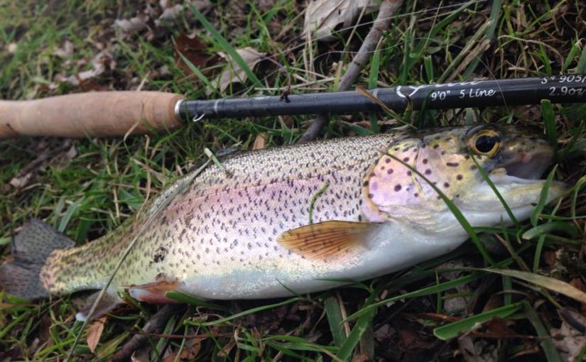 Watauga River: Riverside&nbsp;Dr.