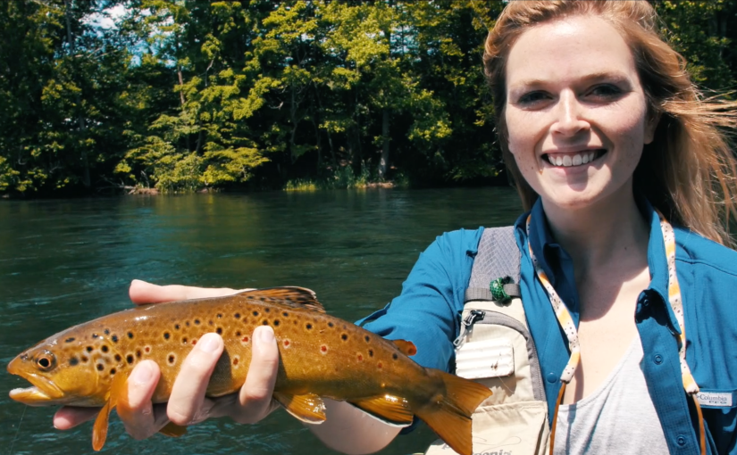 A day on the South&nbsp;Holston